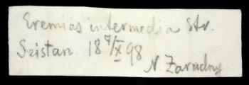 Media type: image;   Herpetology R-22189 Aspect: label